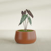 Short Hayden Small Round Fiberglass Planter - 16 in x 16 in x 8 in - Matte Terracotta - Matte Terracotta,16 in x 16 in x 8 in