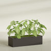 Reade Small Tabletop Rectangle Fiberglass Planter - 18 in x 6.5 in x 5 in - Matte Brown - Matte Brown,18.5 in x 6.5 in x 5 in