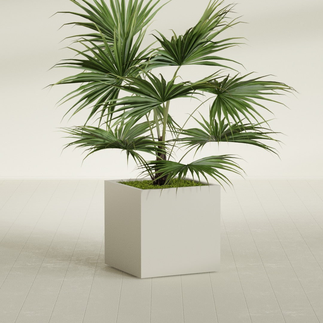 Montroy Medium Cube Square Fiberglass Planter - 28 in x 28 in x 28 in - Satin Beige - Satin Beige,28 in x 28 in x 28 in