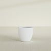 Wannsee Medium Round Fiberglass Planter - 27 in x 27 in x 24 in - Gloss White - Gloss White,27 in x 27 in x 24 in