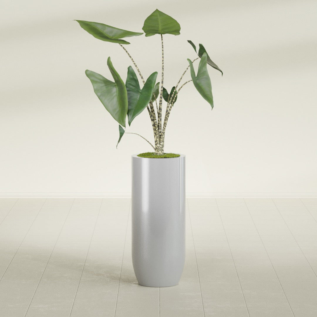 Saint Tropez Large Tall Round Fiberglass Planter - 16 in x 16 in x 38 in - Metallic Silver - Metallic Silver,16 in x 16 in x 38 in