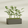 Torino Extra Large Wide Rectangle Fiberglass Planter - 48 in x 24 in x 18 in - Matte Bronze - Matte Bronze,48 in x 24 in x 18 in