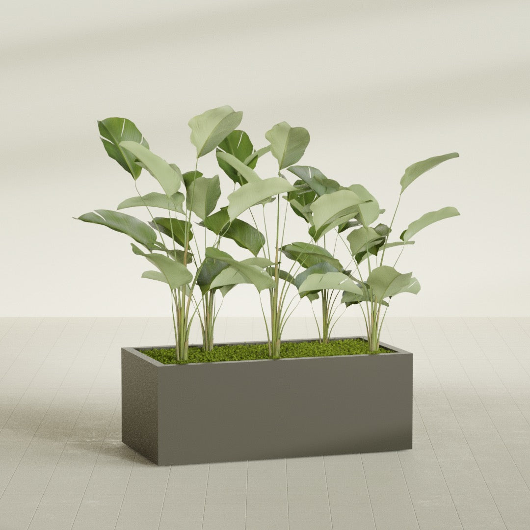 Torino Extra Large Wide Rectangle Fiberglass Planter - 48 in x 24 in x 18 in - Matte Bronze - Matte Bronze,48 in x 24 in x 18 in