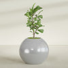 Globe Large Sphere Fiberglass Planter - 36 in x 36 in x 30 in - Metallic Silver - Metallic Silver,36 in x 36 in x 30 in