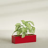 Reade Small Tabletop Rectangle Fiberglass Planter - 14 in x 5 in x 4.3 in - Gloss Red - Gloss Red,14 in x 5 in x 4.3 in