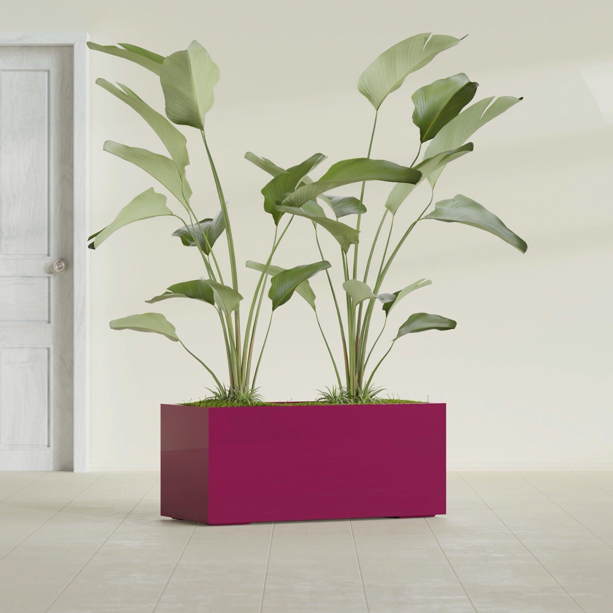 Badalona Large Tall Rectangle Fiberglass Planter - 39 in x 17 in x 17 in - Gloss Eggplant - Gloss Eggplant,39 in x 17 in x 17 in