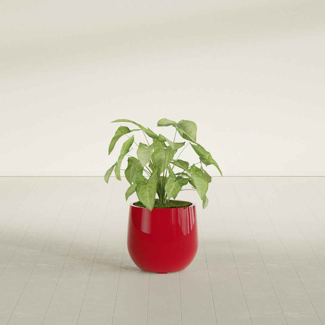 Westfield - 15in diam. x 14in - Gloss Red - Gloss Red,15 in diam. x 14 in H