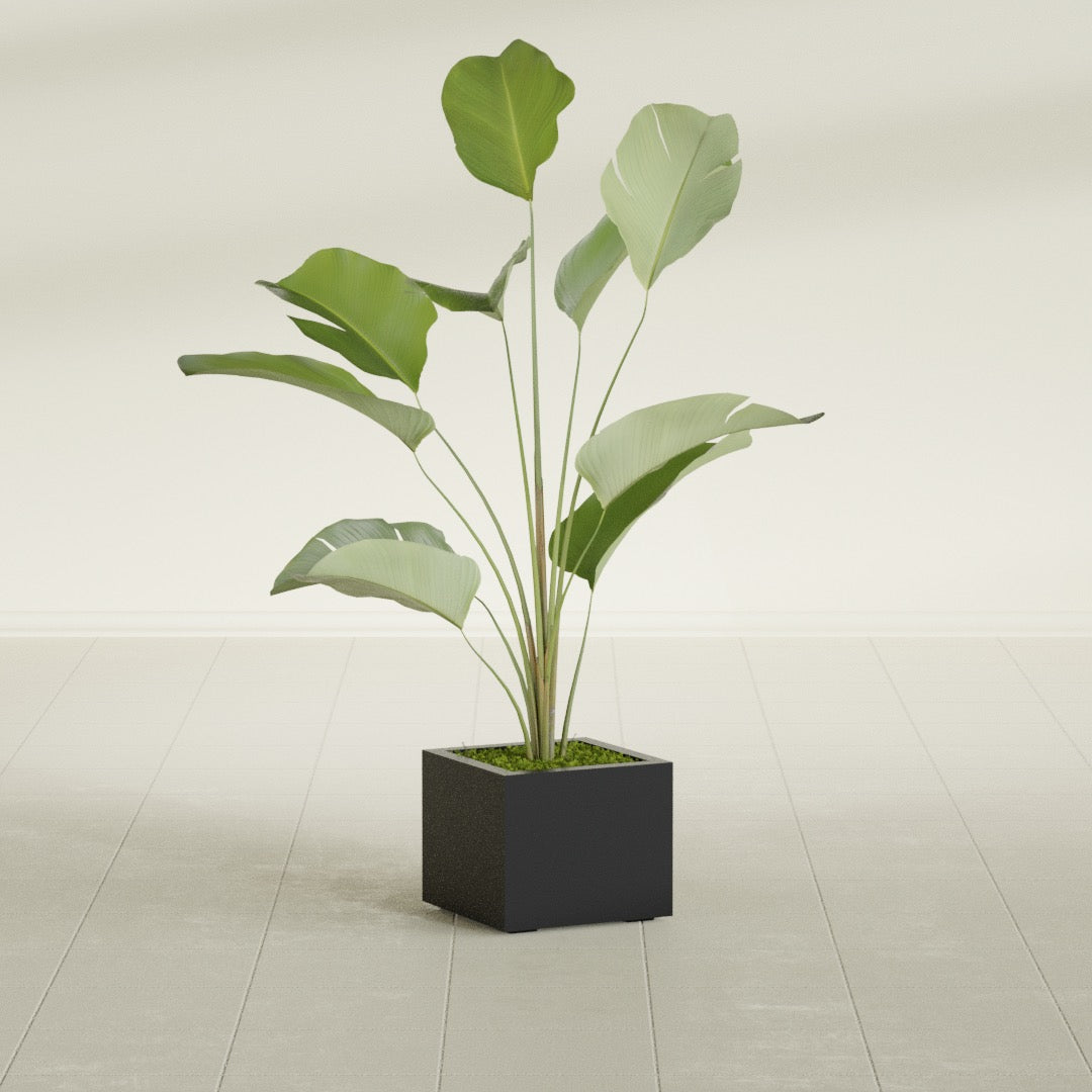 Cuba Small Fiberglass Column Planter - 14 in x 14 in x 12 in - Matte Black - Matte Black,14 in x 14 in x 12 in