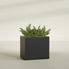 Brisbane Large Rectangle Fiberglass Planter - 36 in x 24 in x 32 in - Matte Black - Matte Black,36 in x 24 in x 32 in
