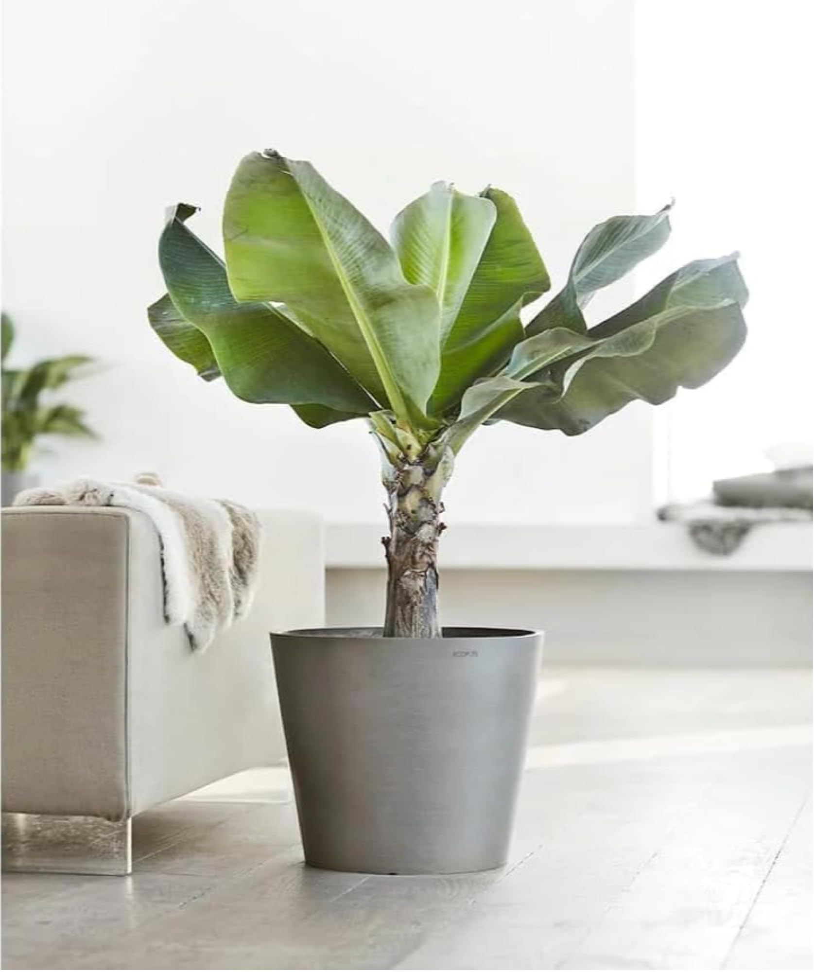 Amsterdam Small Round Planter - 8 in x 8 in x 7 in - Grey - Grey,8 in x 8 in x 7 in,Planter Only