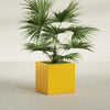 Montroy Medium Cube Square Fiberglass Planter - 28 in x 28 in x 28 in - Gloss Saffron - Gloss Saffron,28 in x 28 in x 28 in