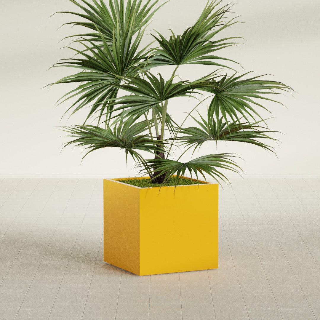 Montroy Medium Cube Square Fiberglass Planter - 28 in x 28 in x 28 in - Gloss Saffron - Gloss Saffron,28 in x 28 in x 28 in