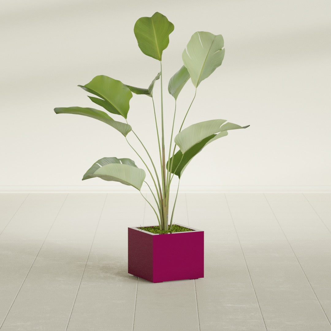Cuba Small Fiberglass Column Planter - 14 in x 14 in x 12 in - Gloss Eggplant - Gloss Eggplant,14 in x 14 in x 12 in