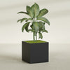 Montroy Large Cube Square Fiberglass Planter - 36 in x 36 in x 36 in - Matte Black - Matte Black,36 in x 36 in x 36 in