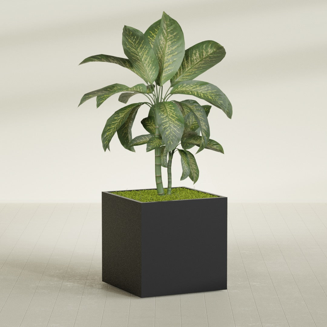 Montroy Large Cube Square Fiberglass Planter - 36 in x 36 in x 36 in - Matte Black - Matte Black,36 in x 36 in x 36 in