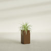 Hollywood Medium Rectangle Fiberglass Planter - 12 in x 12 in x 24 in - Metallic Bronze - Metallic Bronze,12 in x 12 in x 24 in