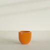 Alzira Medium Round Fiberglass Planter - 23 in x 23 in x 22 in - Gloss Tangerine - Gloss Tangerine,23 in x 23 in x 22 in