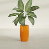 Lisbon Medium Round Fiberglass Planter - 14 in x 14 in x 25 in - Gloss Tangerine - Gloss Tangerine,14 in x 14 in x 25 in