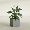 Montroy Medium Cube Square Fiberglass Planter - 20 in x 20 in x 20 in - Metallic Gunmetal - Metallic Gunmetal,20 in x 20 in x 20 in