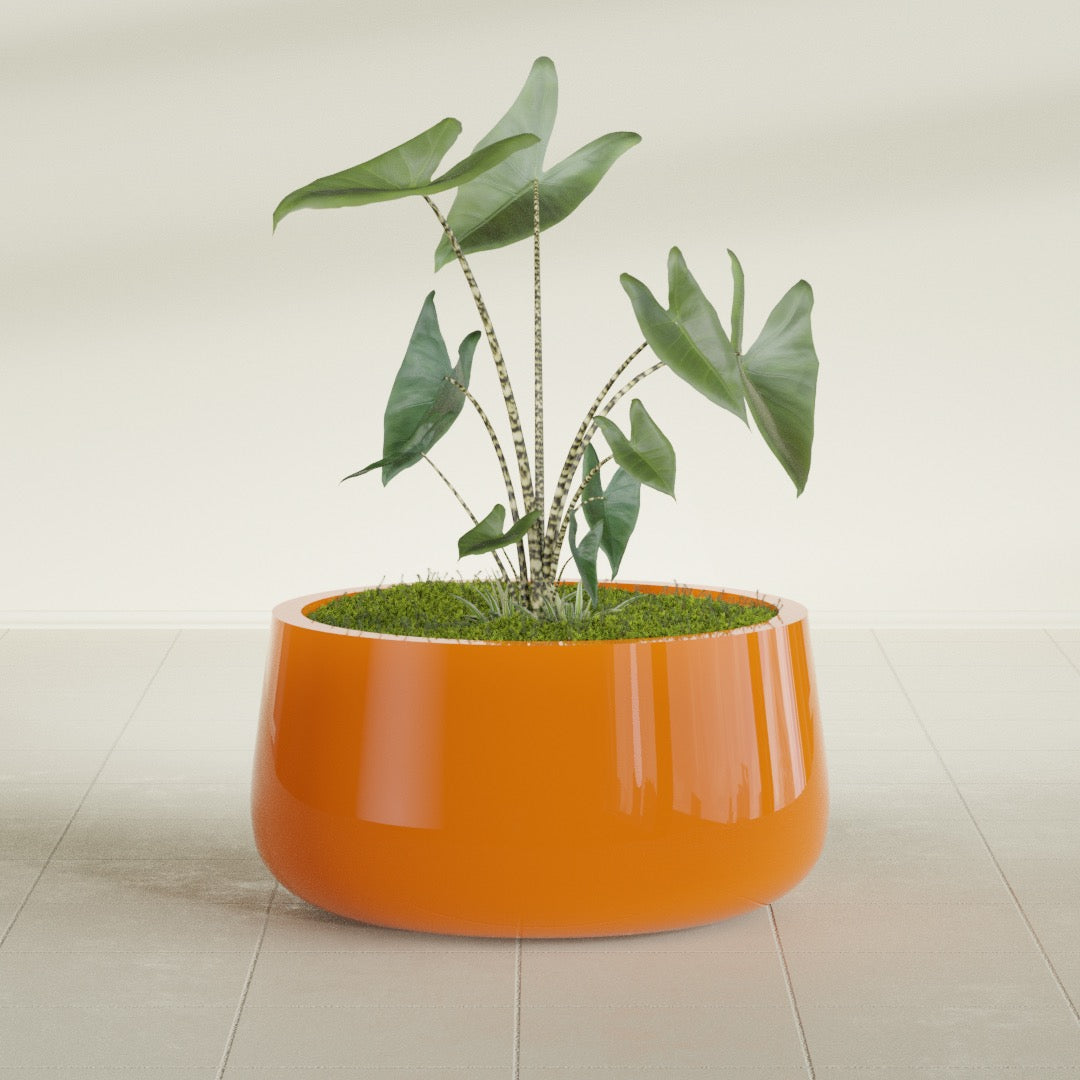 Short Hayden Medium Round Fiberglass Planter - 20 in x 20 in x 10 in - Gloss Tangerine - Gloss Tangerine,20 in x 20 in x 10 in
