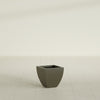 Lima Small Tapered Square Fiberglass Planter - 12 in x 12 in x 12 in - Matte Bronze - Matte Bronze,12 in x 12 in x 12 in