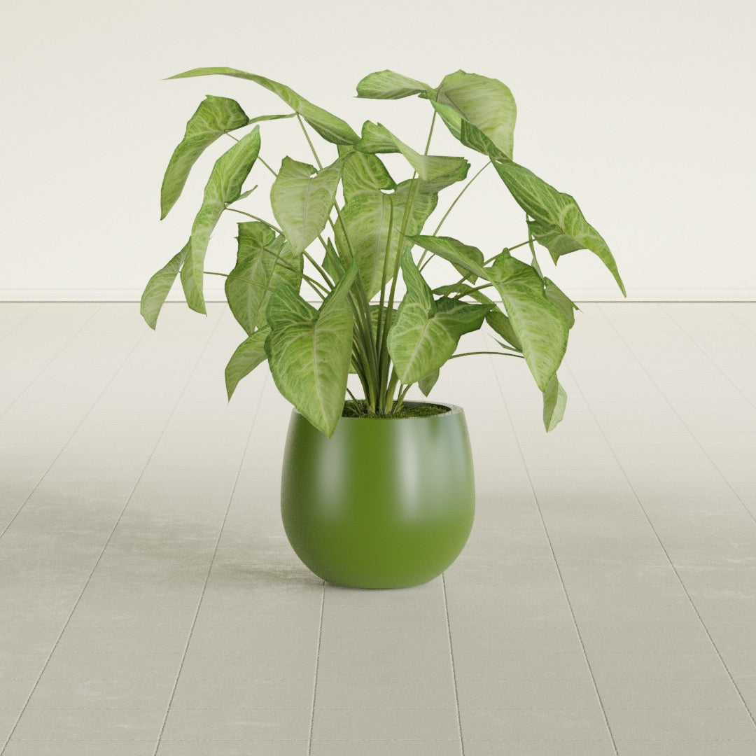 Westfield - 10in diam. x 9in - Satin Green - Satin Green,10 in diam. x 9 in H