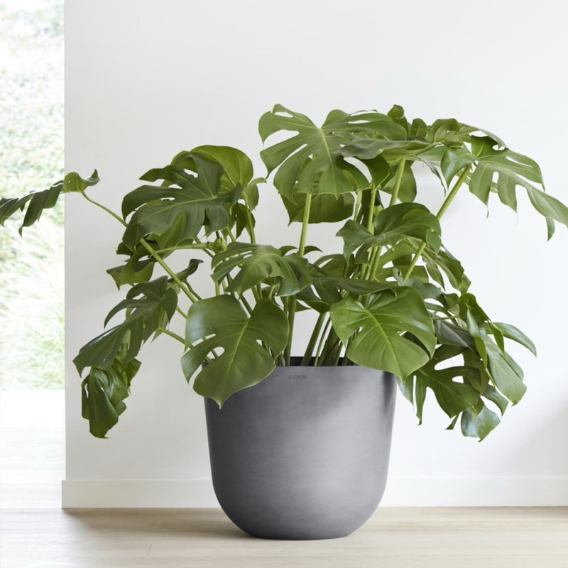 Oslo - 9.8in diam. x 8.5in Image