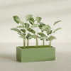 Torino Extra Large Wide Rectangle Fiberglass Planter - 48 in x 24 in x 18 in - Satin Green - Satin Green,48 in x 24 in x 18 in