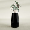 Saigon Large Tapered Round Planter - 16 in x 21 in x 36 in - Gloss Black - Gloss Black,16.4 in x 20.7 in x 36 in