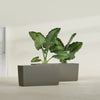 Panama Large Long Rectangle Fiberglass Planter - 36 in x 12 in x 18 in - Matte Bronze - Matte Bronze,36 in x 12 in x 18 in
