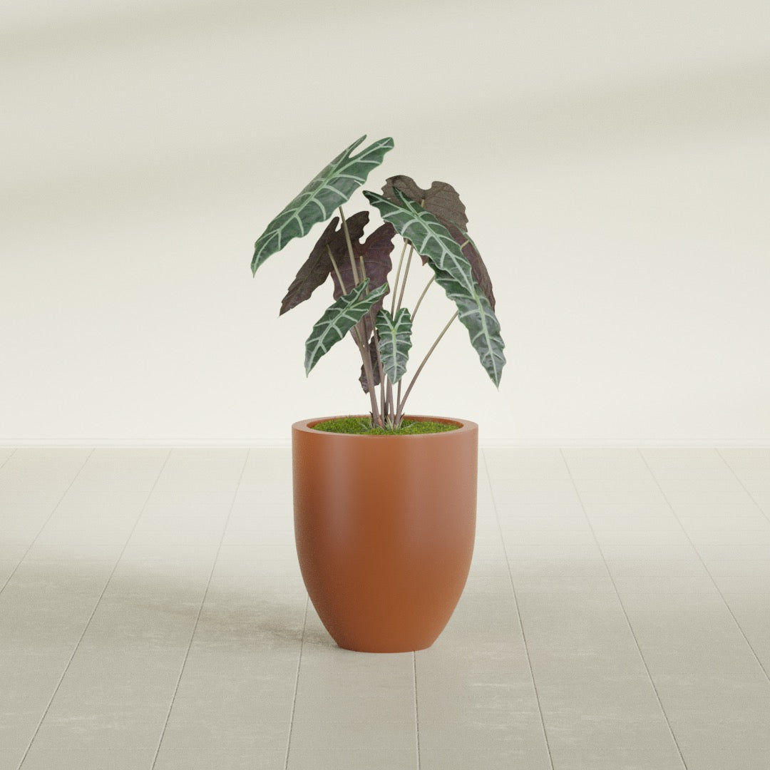 Valencia Small Round Fiberglass Planter - 15 in x 15 in x 18 in - Matte Terracotta - Matte Terracotta,15 in x 15 in x 18 in