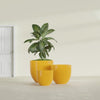Alzira Medium Round Fiberglass Planter - 23 in x 23 in x 22 in - Gloss Saffron - Gloss Saffron,23 in x 23 in x 22 in