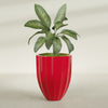 Alicante Medium Round Fiberglass Planter - 26 in x 26 in x 32 in - Gloss Red - Gloss Red,26 in x 26 in x 32 in