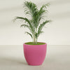 Wannsee Large Round Fiberglass Planter - 39 in x 39 in x 34 in - Gloss Pink Violet - Gloss Pink Violet,39 in x 39 in x 34 in