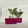 Panama Large Long Rectangle Fiberglass Planter - 36 in x 12 in x 18 in - Gloss Eggplant - Gloss Eggplant,36 in x 12 in x 18 in