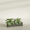 Salon Large Tall Rectangle Fiberglass Planter - 36 in x 8 in x 8 in - Matte Bronze - Matte Bronze,36 in x 8 in x 8 in