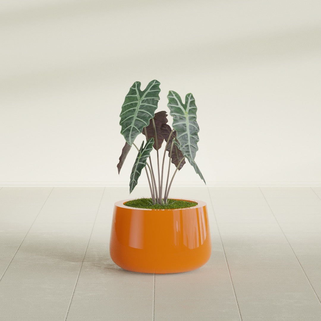 Short Hayden Small Round Fiberglass Planter - 12 in x 12 in x 7 in - Gloss Tangerine - Gloss Tangerine,12 in x 12 in x 7 in