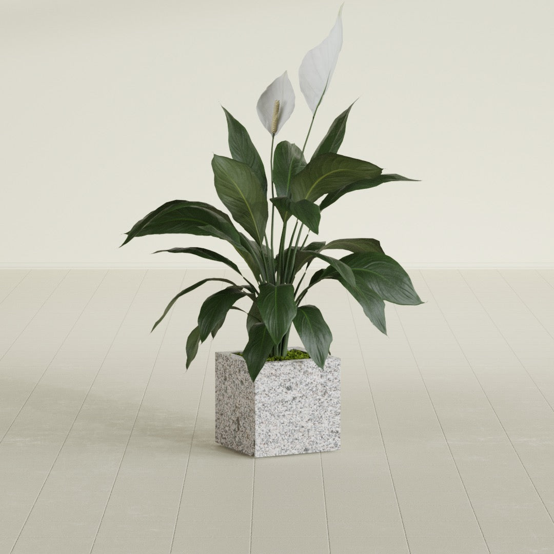 Cube - 12in x 12in x 12in - StoneLight - Greystone - StoneLight - Greystone,12 in x 12 in x 12 in