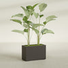 Tolga Large Rectangle Fiberglass Planter - 36 in x 16 in x 24 in - Matte Brown - Matte Brown,36 in x 16 in x 24 in