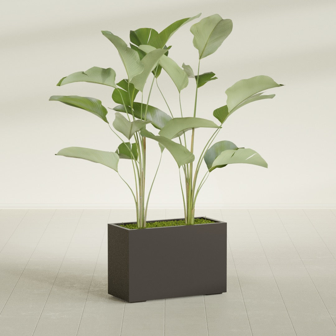 Tolga Large Rectangle Fiberglass Planter - 36 in x 16 in x 24 in - Matte Brown - Matte Brown,36 in x 16 in x 24 in