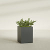 Brisbane Large Rectangle Fiberglass Planter - 24 in x 24 in x 32 in - Matte Charcoal - Matte Charcoal,24 in x 24 in x 32 in