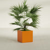 Montroy Medium Cube Square Fiberglass Planter - 24 in x 24 in x 24 in - Gloss Tangerine - Gloss Tangerine,24 in x 24 in x 24 in