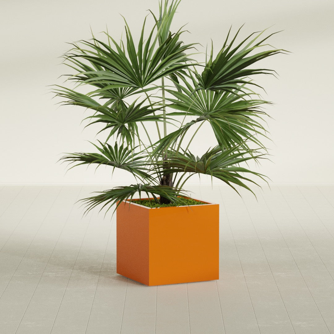 Montroy Medium Cube Square Fiberglass Planter - 24 in x 24 in x 24 in - Gloss Tangerine - Gloss Tangerine,24 in x 24 in x 24 in