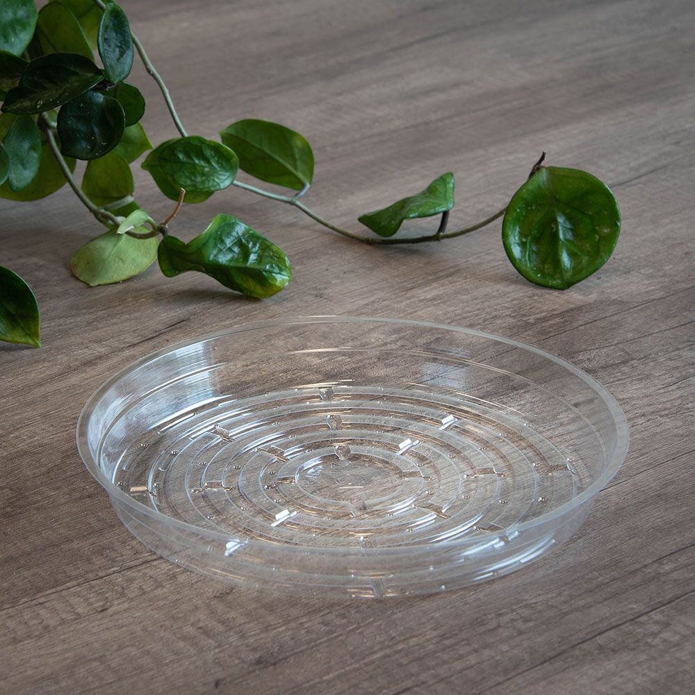 Low Shallow Clear Vinyl Plant Saucers - 6in - Pack of 50 - 6",Pack of 50