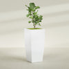 Toulan Extra Large Tall Tapered Square Fiberglass Planter - 28 in x 28 in x 60 in - Matte White - Matte White,28 in x 28 in x 60 in