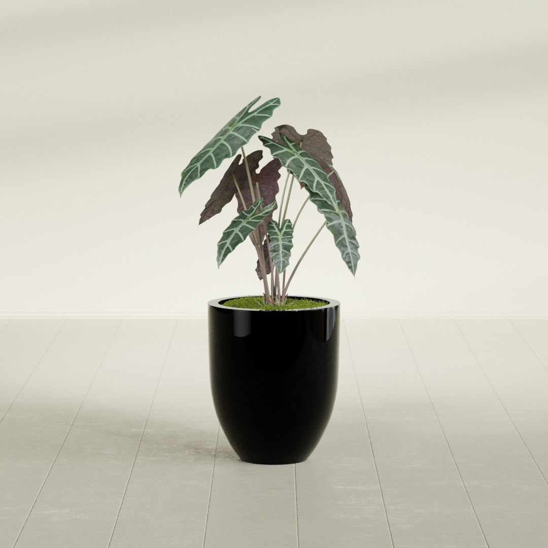 Valencia Small Round Fiberglass Planter - 15 in x 15 in x 18 in - Gloss Black - Gloss Black,15 in x 15 in x 18 in
