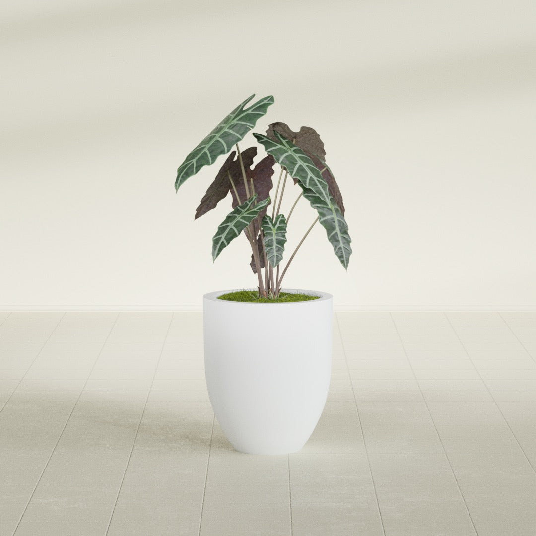 Valencia Small Round Fiberglass Planter - 15 in x 15 in x 18 in - Gloss White - Gloss White,15 in x 15 in x 18 in