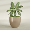Alzira Large Round Fiberglass Planter - 36 in x 36 in x 34 in - Metallic Gold - Metallic Gold,36 in x 36 in x 34 in
