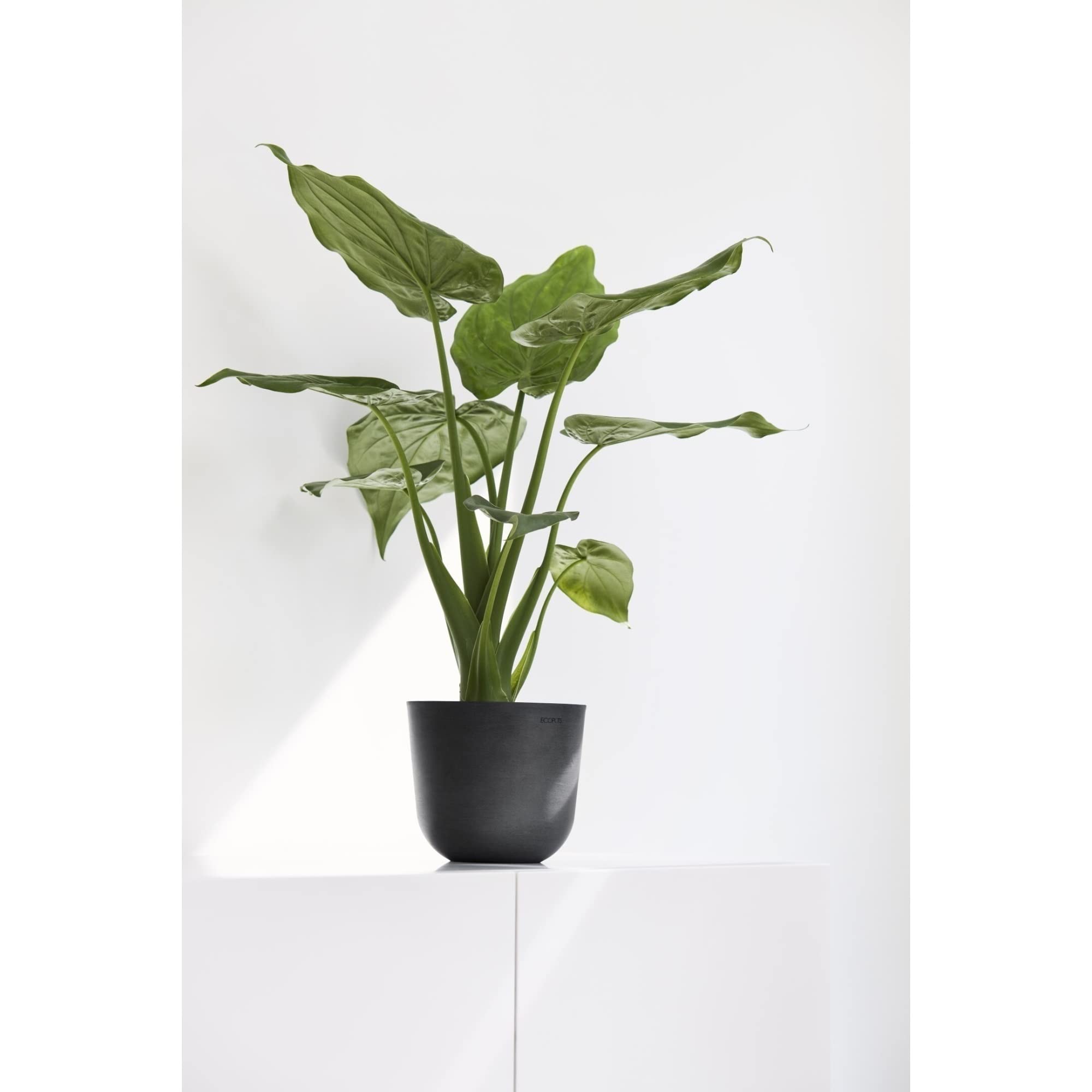 Oslo Small Round Planter - 13.8 in x 13.8 in x 12 in - Dark Grey - Dark Grey,13.75 in x 13.75 in x 12 in,Planter Only