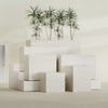 Brisbane Large Rectangle Fiberglass Planter - 24 in x 24 in x 32 in - Satin Beige - Satin Beige,24 in x 24 in x 32 in